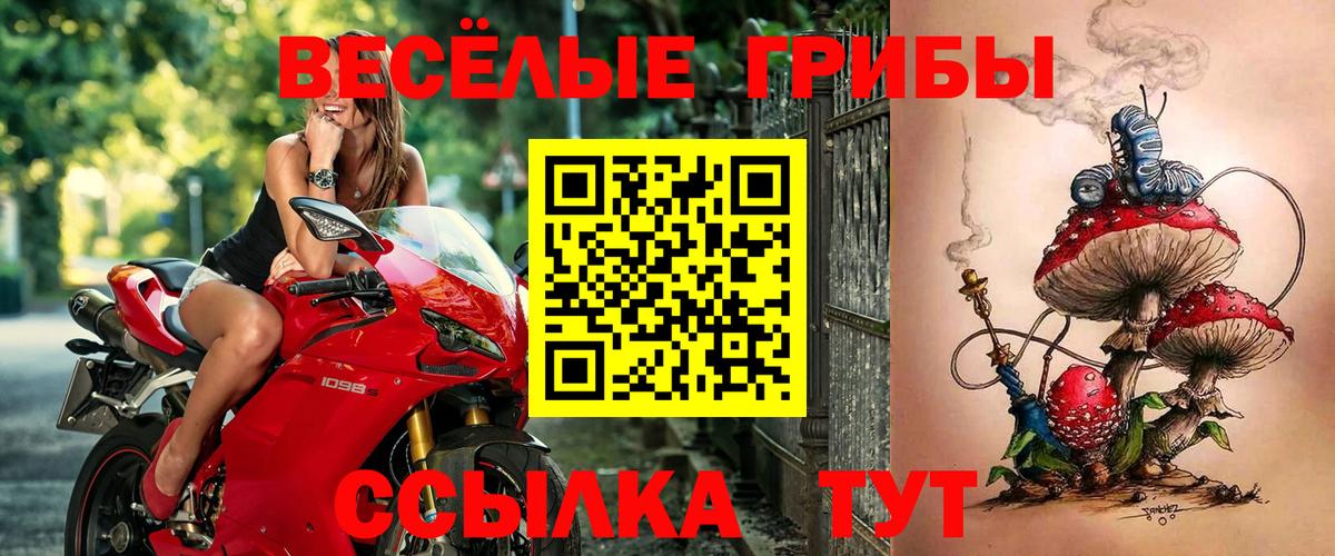 Галлюциногенные грибы Psilocybe  Вход с VPN  Вичуга  Псилоцибиновые грибы MAGIC MUSHROOMS 